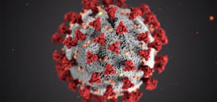 traballo de base dos protocolos de seguranza covid 19